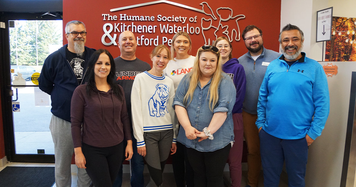 Team members from REM Web Solutions partner with the Human Society in Kitchener.